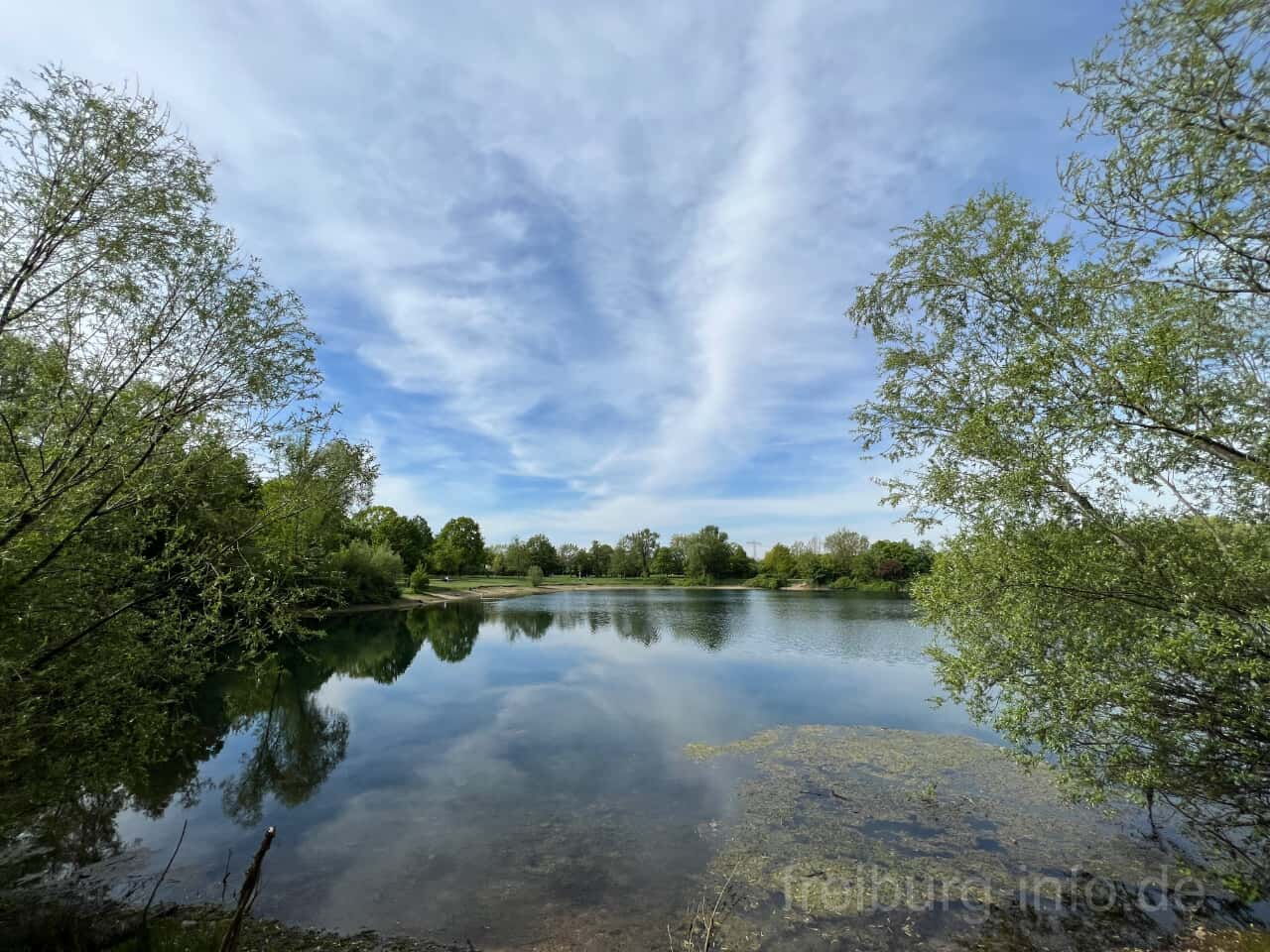 Dietenbachsee