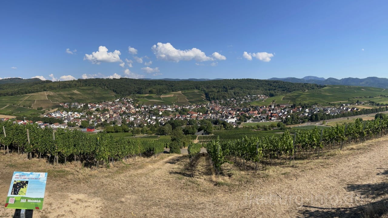 Blick auf die Gemeinde Pfaffenweiler