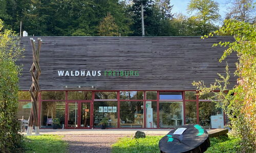 Waldhaus - Café in Freiburg
