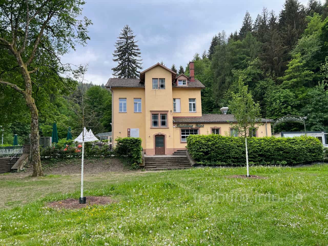 Restaurant & Event Location Waldsee