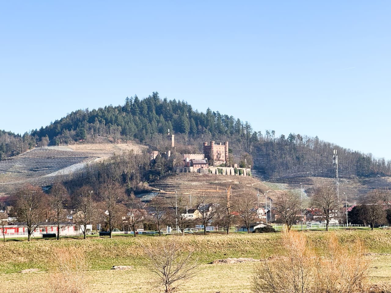 Schloss Ortenberg