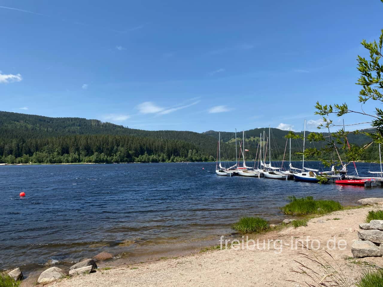 Blick auf den Schluchsee bei Unteraha