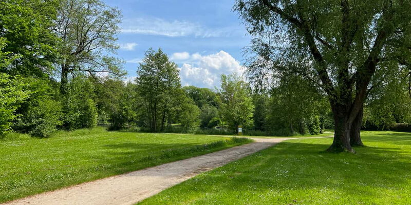 Reutemattensee Grünfläche