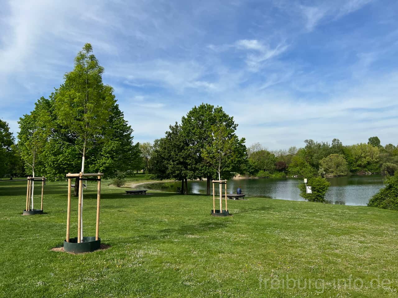 Dietenbachpark mit See