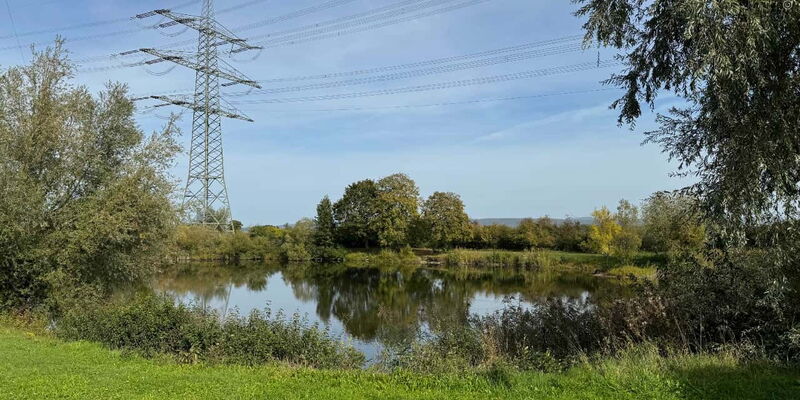 Löhlinsee in Bahlingen am Kaiserstuhl