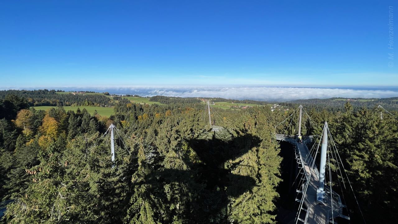 Baumwipfelpfad im skywalk allgäu