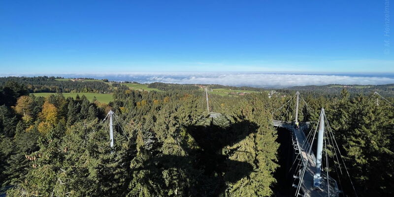 Baumwipfelpfad im skywalk allgäu
