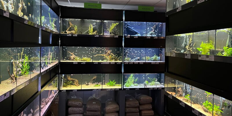 UNTER Wasser Aquarienausstellung