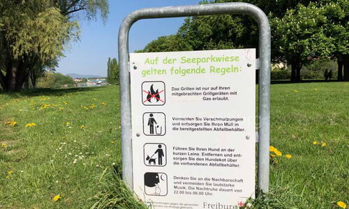 Seeparkwiese - Reglen