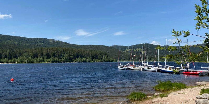 Blick auf den Schluchsee bei Unteraha