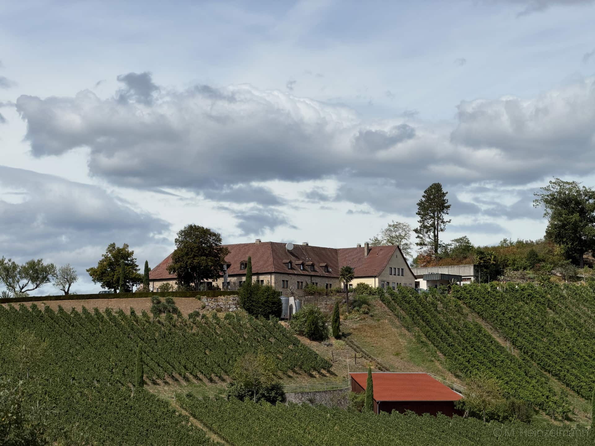 Blick von unten über die Weinreben auf den Gutsbetrieb Blankenhornsberg in Ihringen am Kaiserstuhl