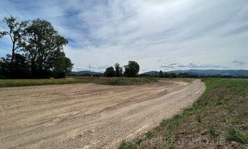 Vorarbeiten Stadtteil Dietenbach