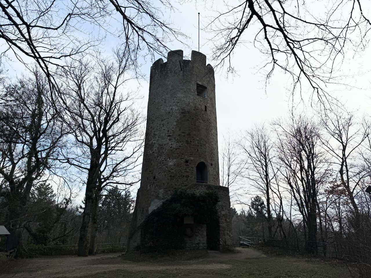 Ruine Zähringer Burg in Gundelfingen bei Freiburg