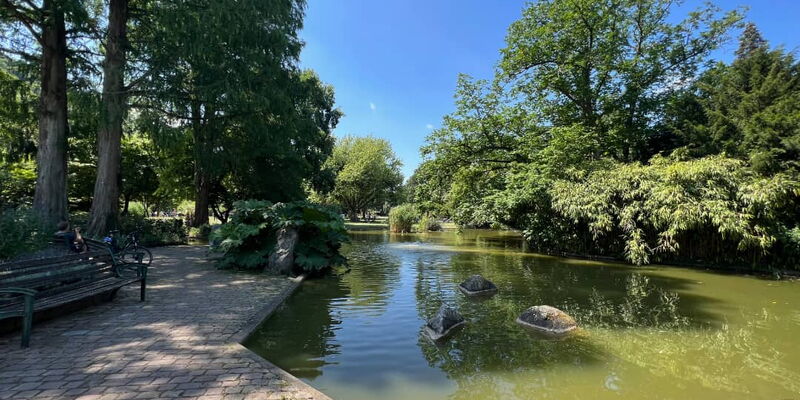 Teichanlage im Freiburger Stadtgarten