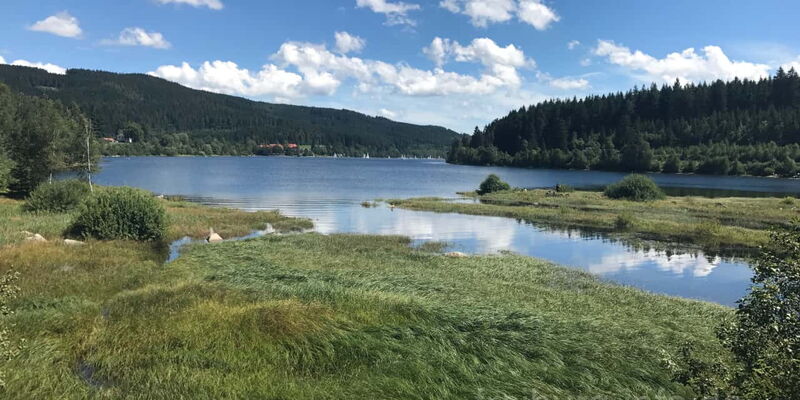 Blick auf den Schluchsee bei Aha