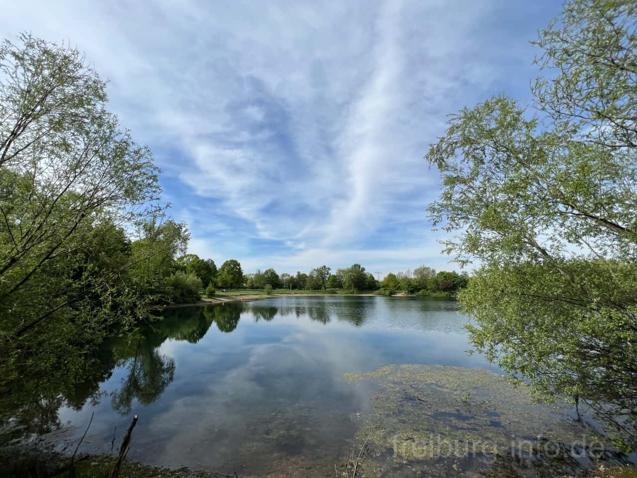 Dietenbachsee