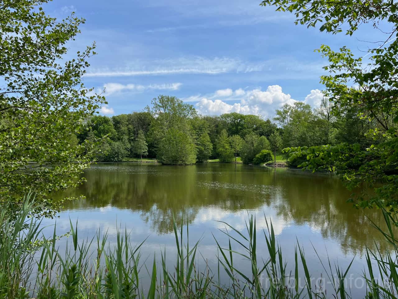 Reutemattensee
