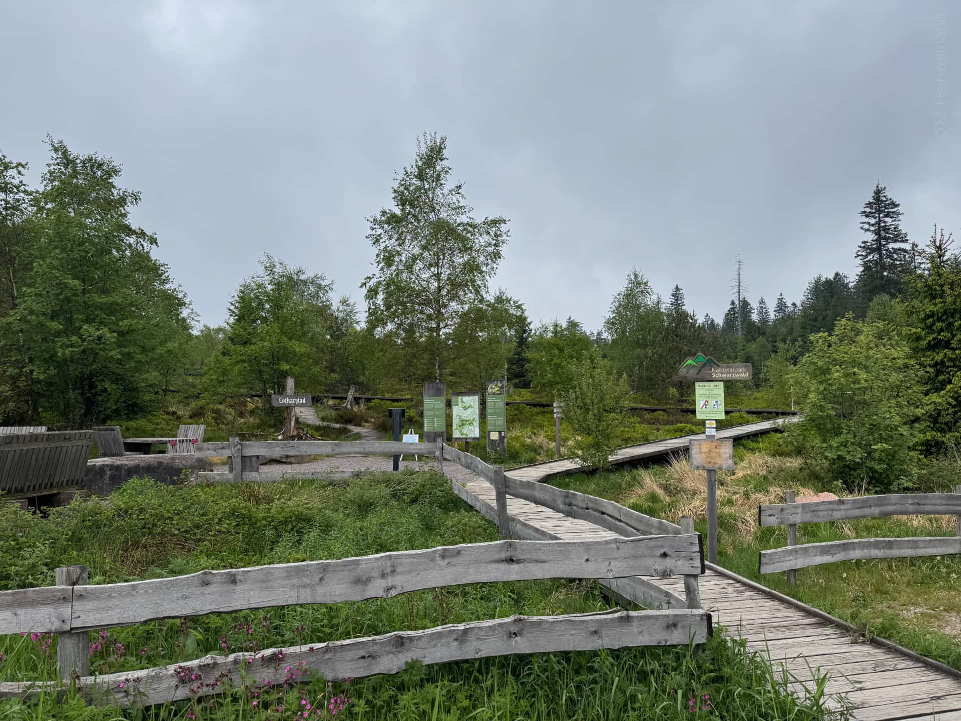 Lotharpfad